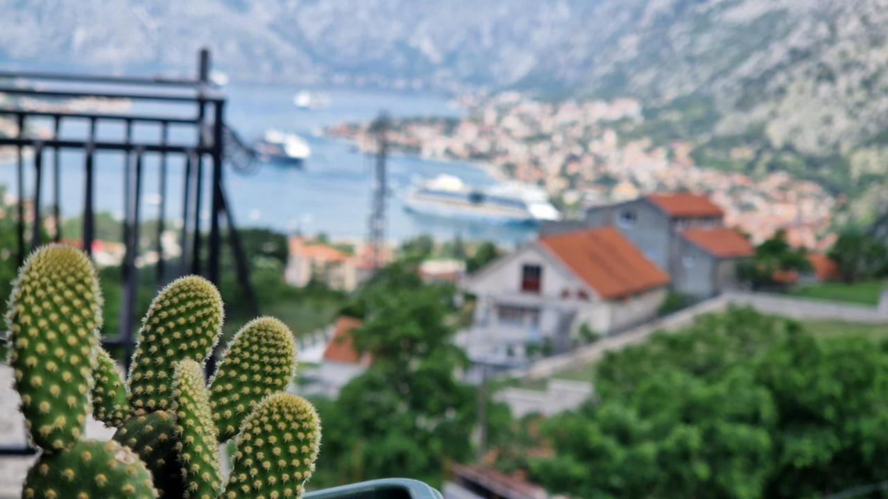 Anastasija 2 Apartment Kotor Exterior photo